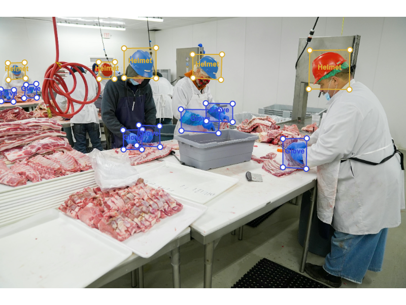AI safety and sanitation monitoring inside a food processing plant